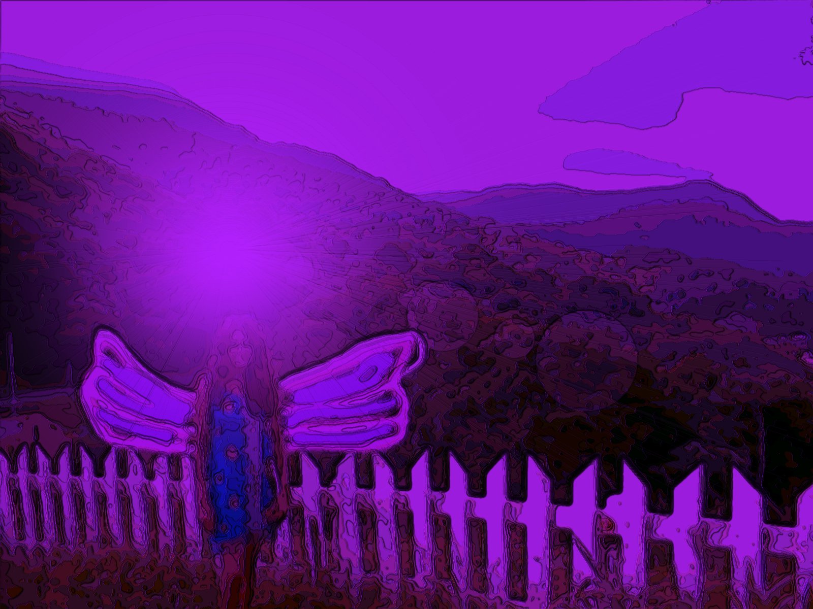 an image